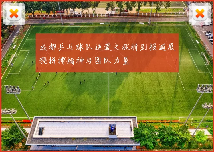 成都乒乓球队逆袭之旅特别报道展现拼搏精神与团队力量