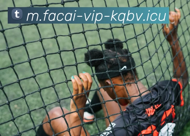 米兰体育APP 封面图